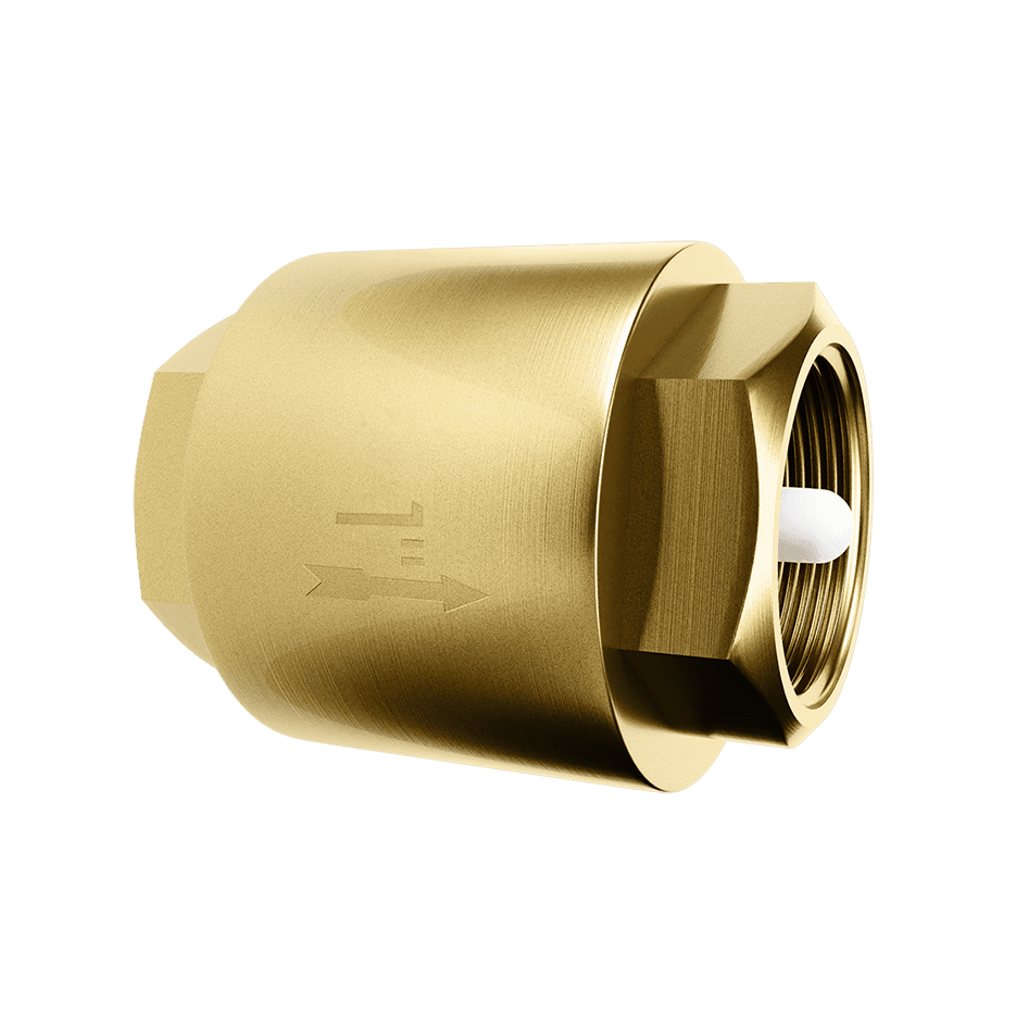 VERTICAL AND HORIZONTAL CHECK VALVE 1”