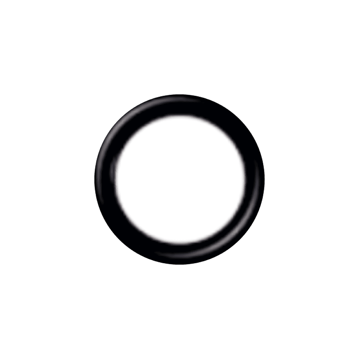 O'RING 17,30 mm X 2,5 mm (10 unid.)