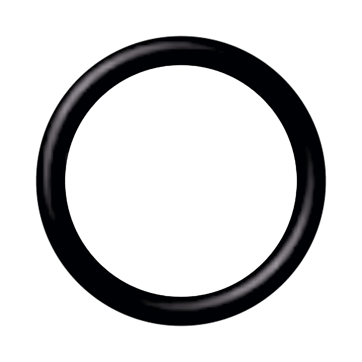 O'RING 19,00 mm X2,4 mm (10 unid.)